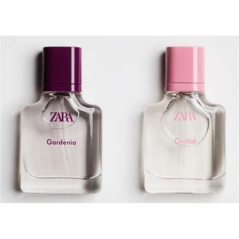 zara orchid perfume 30ml price.